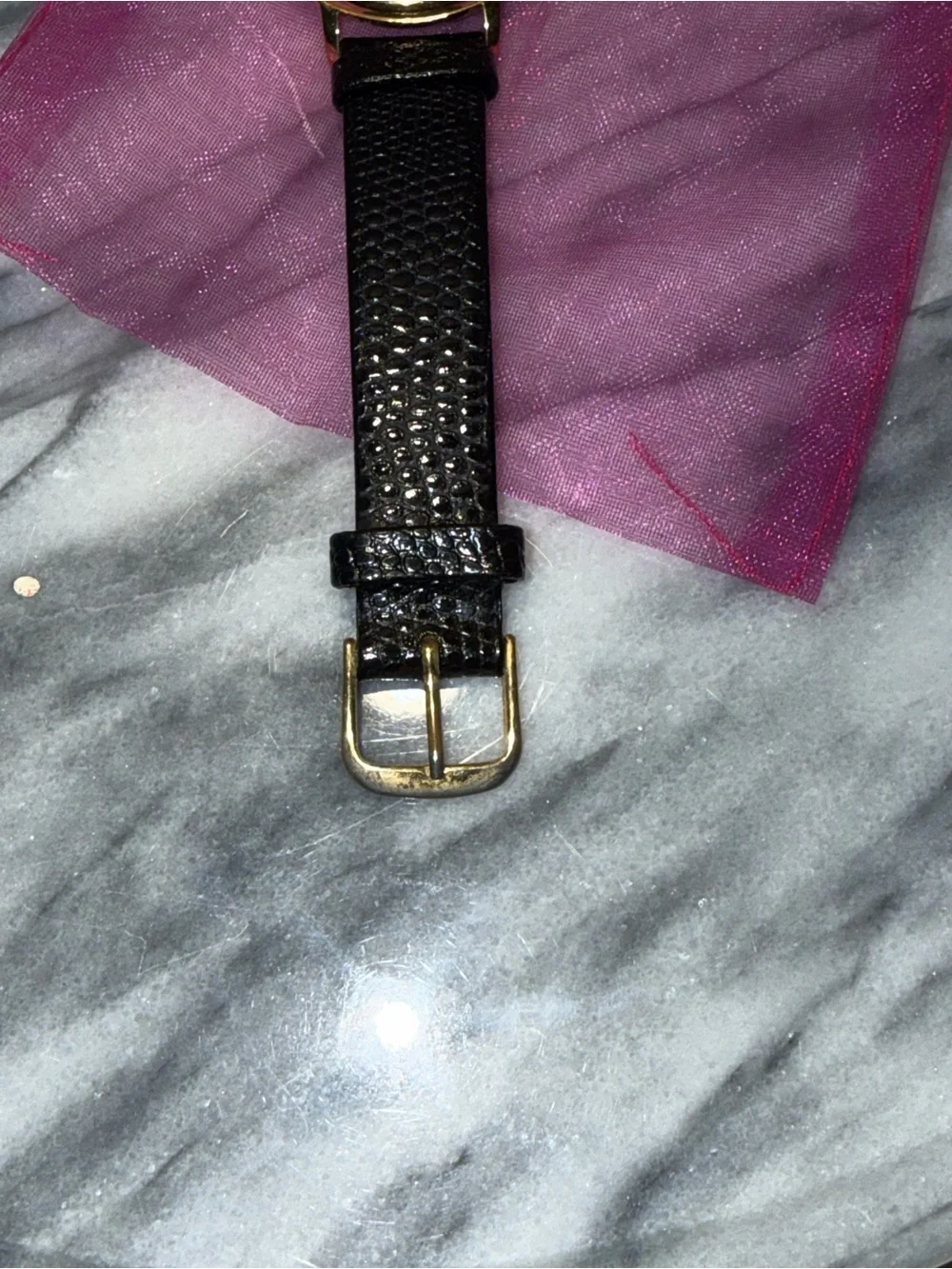 Central Michigan University Alumni Commemorative Women’s Gold Tone Watch New